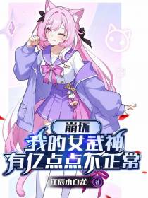 崩坏：我的女武神有亿点点不正常