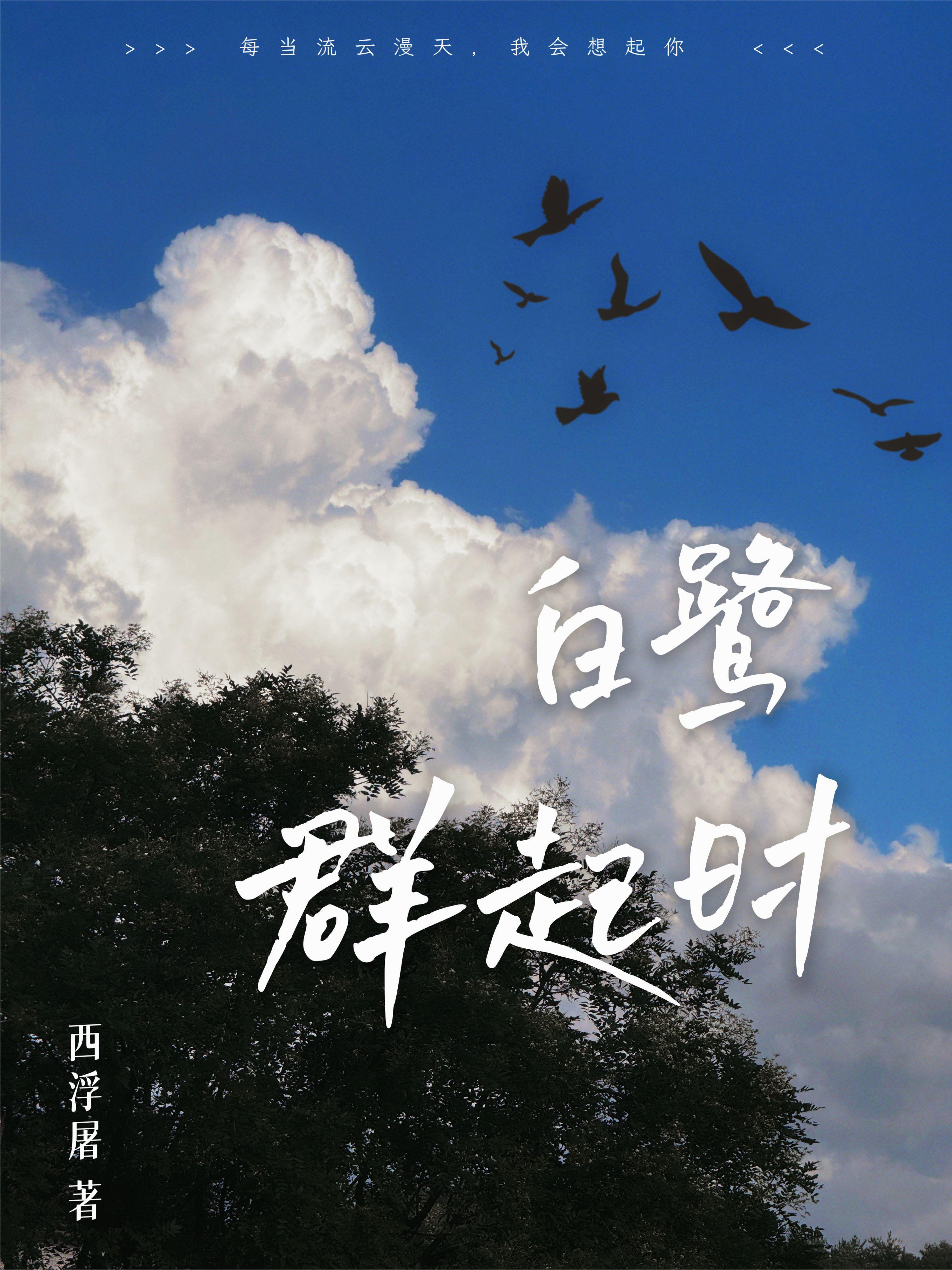 白鹭群起时